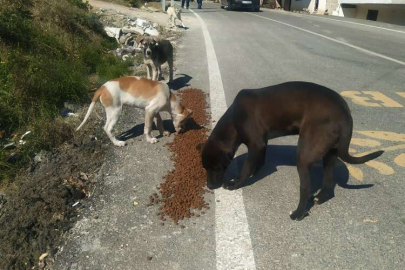 Bursa Hatay'da da her cana yetişmeye çalışıyor