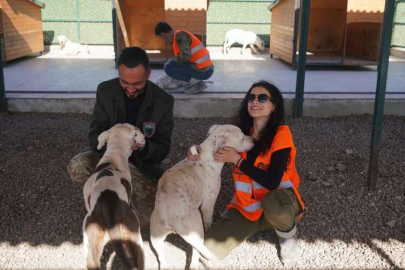 Paw Guards üyelerinden Diyarbakır'a yakın mercek