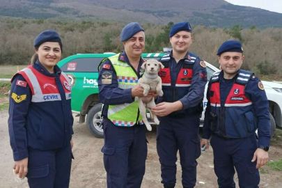 Sokak hayvanlarına Jandarma şefkati