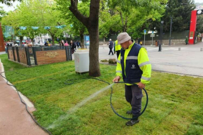 Kocaeli Cumhuriyet Bulvarı'nda yaza hazırlık